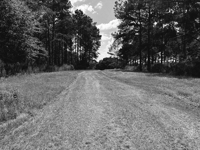 Pondview Acres Campground Picture 8