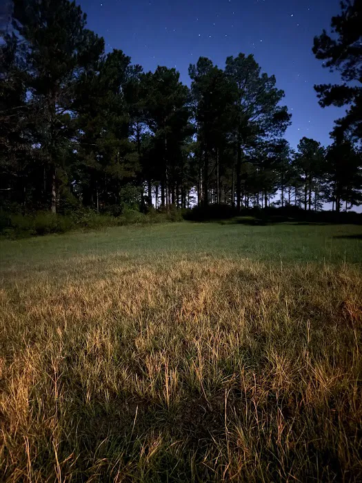 Pondview Acres Campground Picture 3