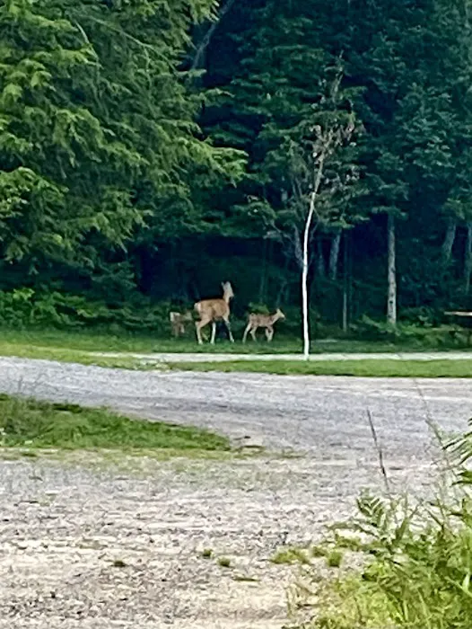 Camp Pontiac Campground LLC Picture 4