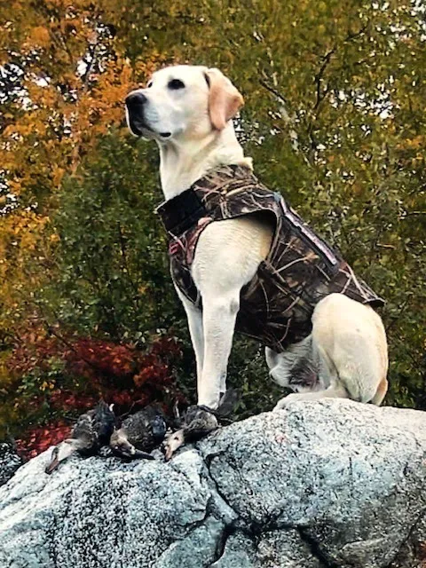 Camp Pontiac Campground LLC Picture 6