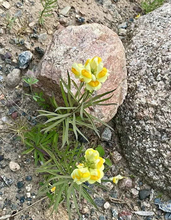 Camp Pontiac Campground LLC Picture 7