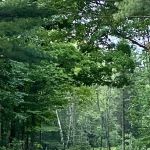 Camp Pontiac Campground LLC