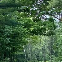 Camp Pontiac Campground LLC ico