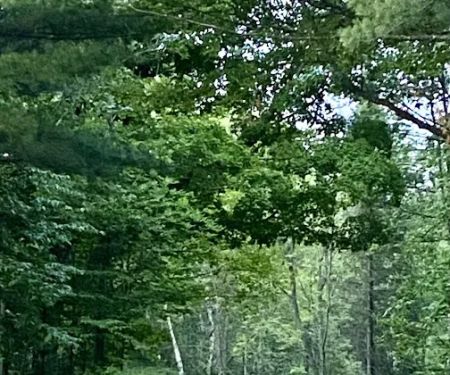 Camp Pontiac Campground LLC