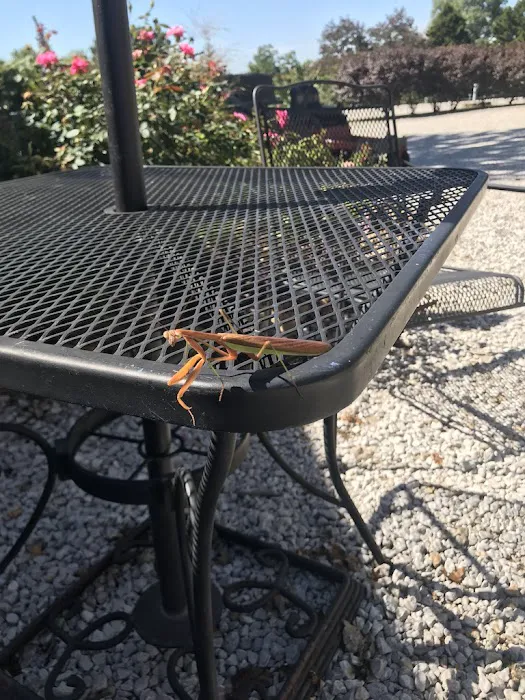 Lazy Day Campground Picture 8