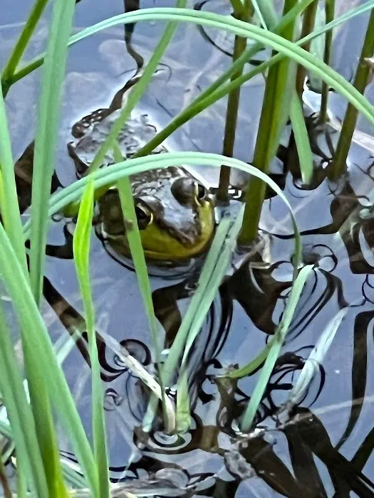 Split Ridge Campground Picture 5