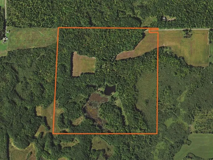 Split Ridge Campground Picture 10