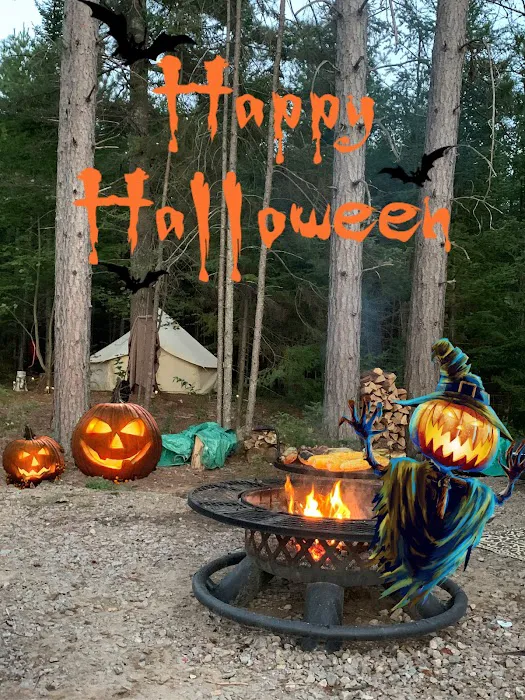 Bach's Wildwood Campground Picture 1