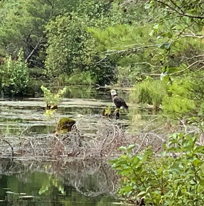 Bach's Wildwood Campground Picture 3
