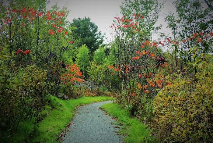 Northern Lights Campground Picture 1