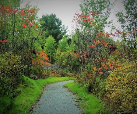 Northern Lights Campground