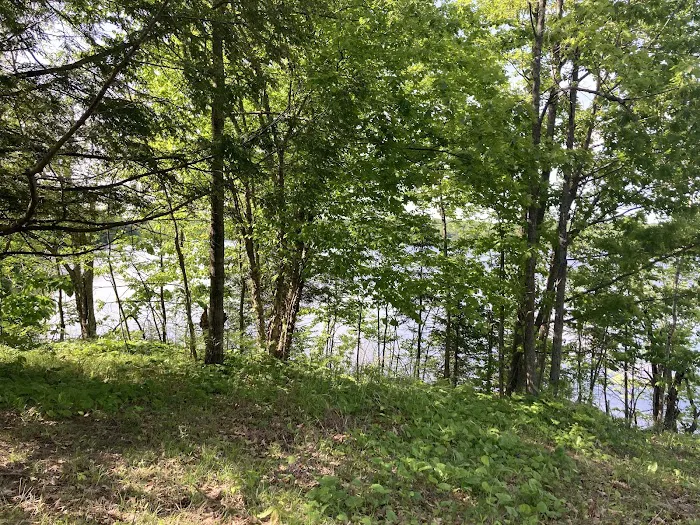 The InnBetween Bar & Campground Picture 3