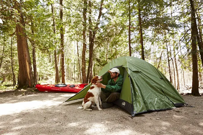 Patricia Lake Campgrounds, Inc Picture 3