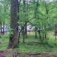Purdie Creek Campground ico