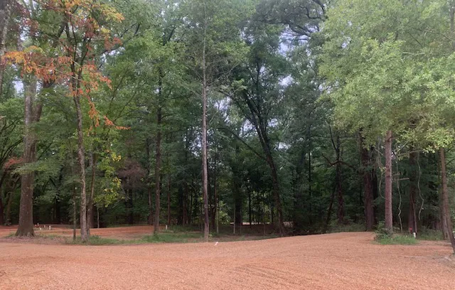 Purdie Creek Campground Picture 6