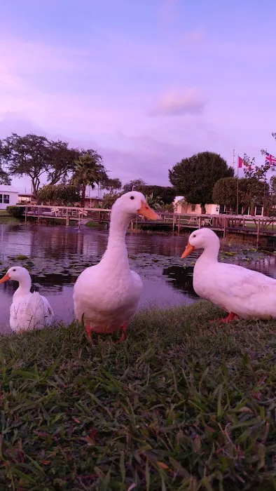 Lake Wales Campground Picture 4