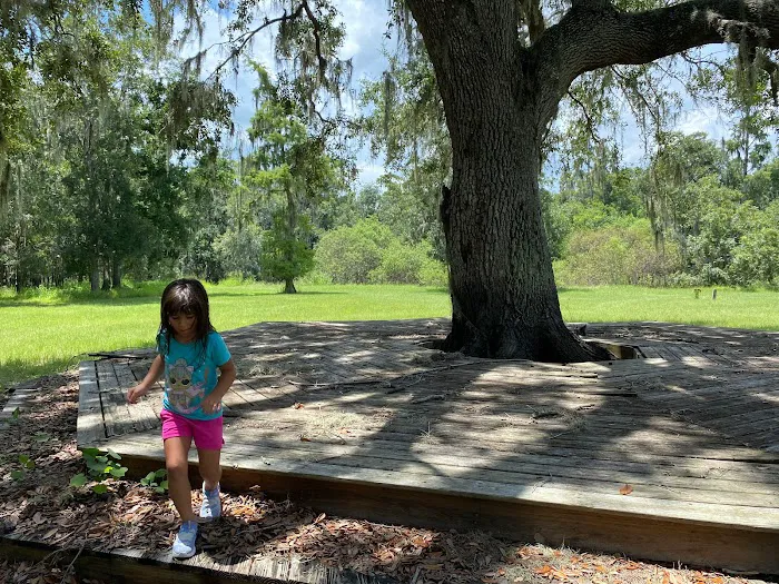 Peace River Oasis Picture 5