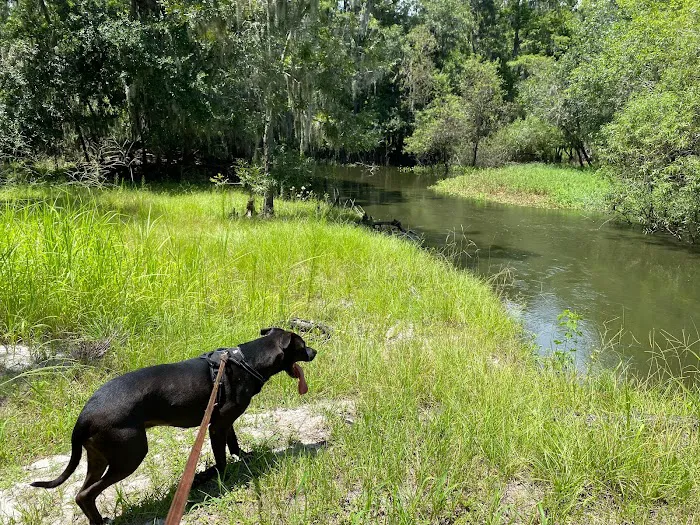 Peace River Oasis Picture 6