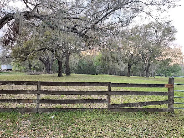 Peace River Oasis Picture 8