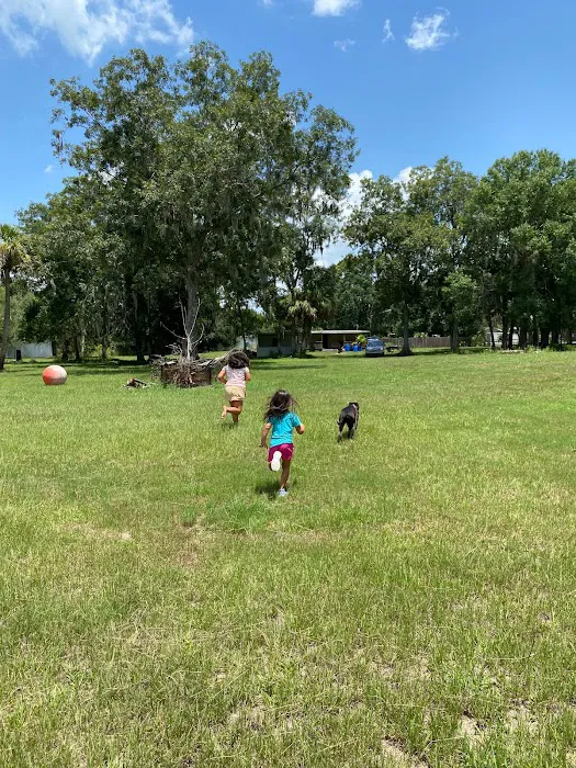 Peace River Oasis Picture 3