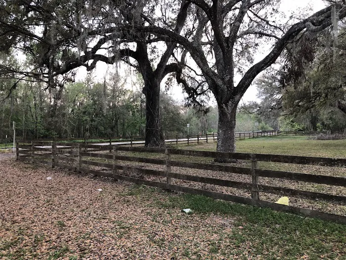 Peace River Oasis Picture 10