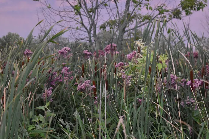 Spirit Of Ripley Campground Picture 4