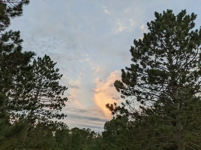 Norway Point Group Campground Picture 9