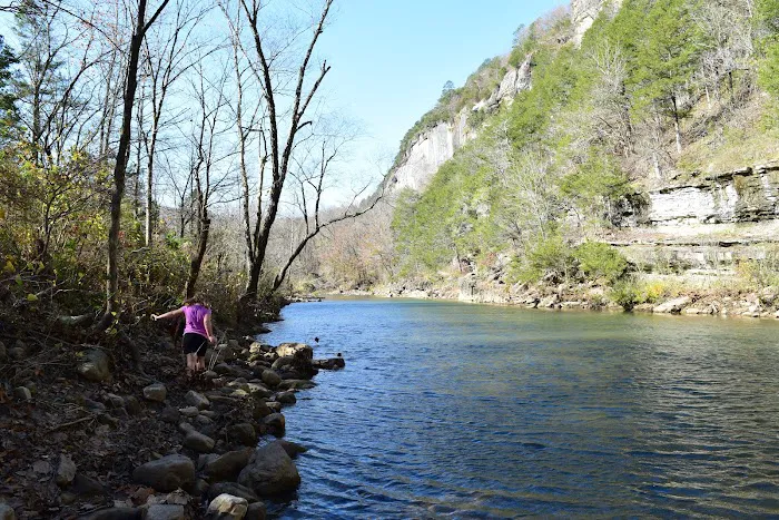 Kyles Landing Campground Picture 3