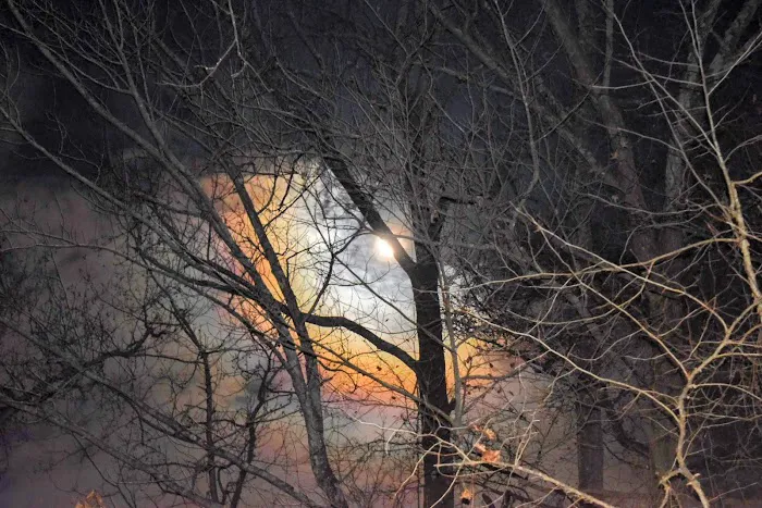 Kyles Landing Campground Picture 2