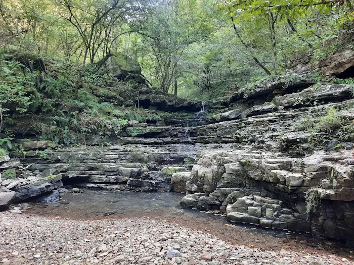 Kyles Landing Campground Picture 4