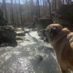 Enchanted Ozark Camp and Cabins