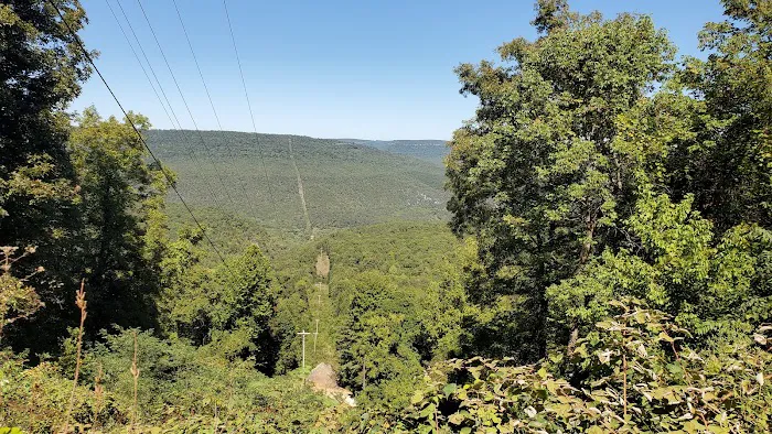 Kyles Landing Campground Picture 8