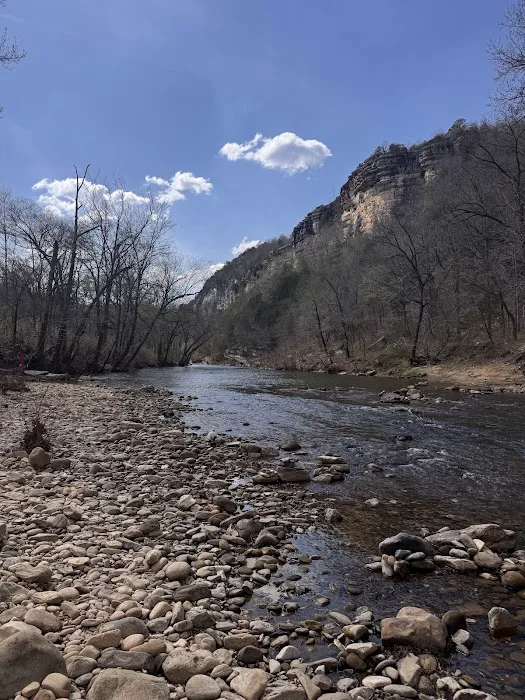 Kyles Landing Campground Picture 5