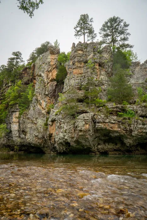 Kyles Landing Campground Picture 10