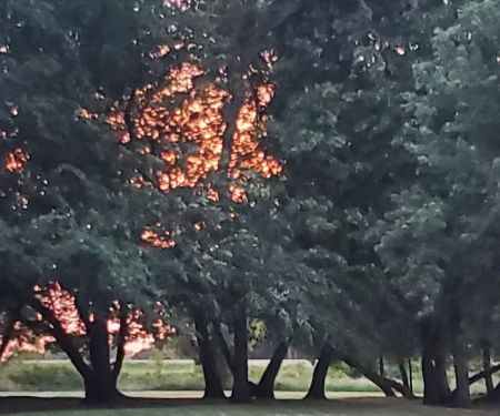 Outdoors Inn Campground