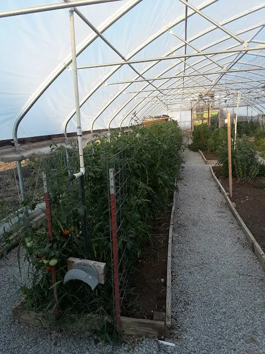 Ethans Forrest Picture 4