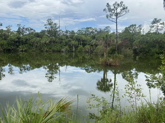 Bear Island Big Cypress national preserve Picture 9