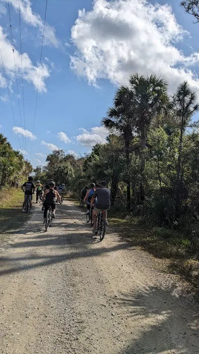 Bear Island Big Cypress national preserve Picture 7