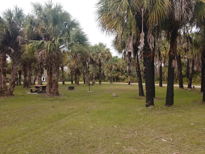 Bear Island Big Cypress national preserve Picture 8
