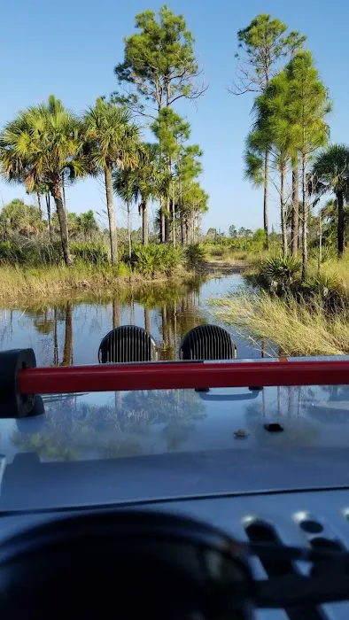 Bear Island Big Cypress national preserve Picture 3