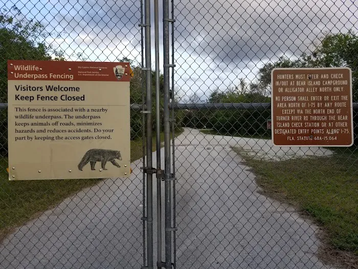 Bear Island Big Cypress national preserve Picture 6