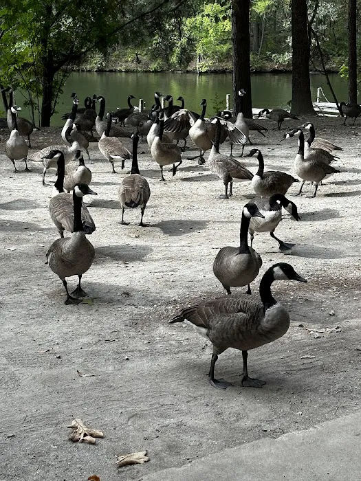 Five Points Lake Hamilton Picture 12
