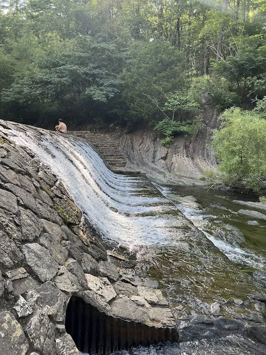Charlton Recreation Area Picture 10