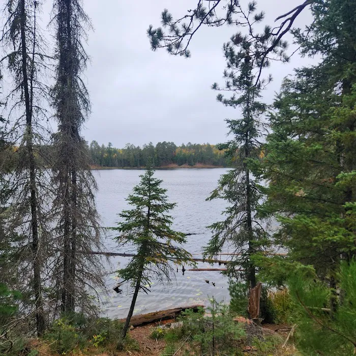 Bear Head Lake Campground Picture 10