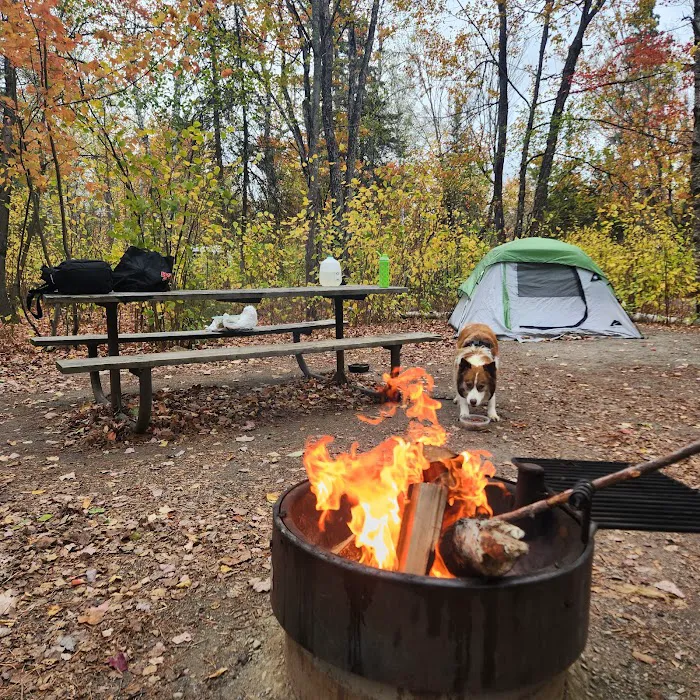 Bear Head Lake Campground Picture 5