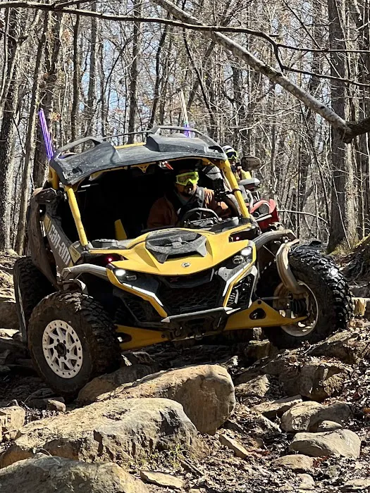 Cove City Cabins Picture 8