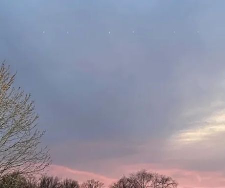 Illinois River Yacht Club and Campground