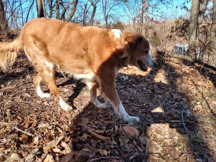 The Hide Away Spot RV Park & Events Picture 9