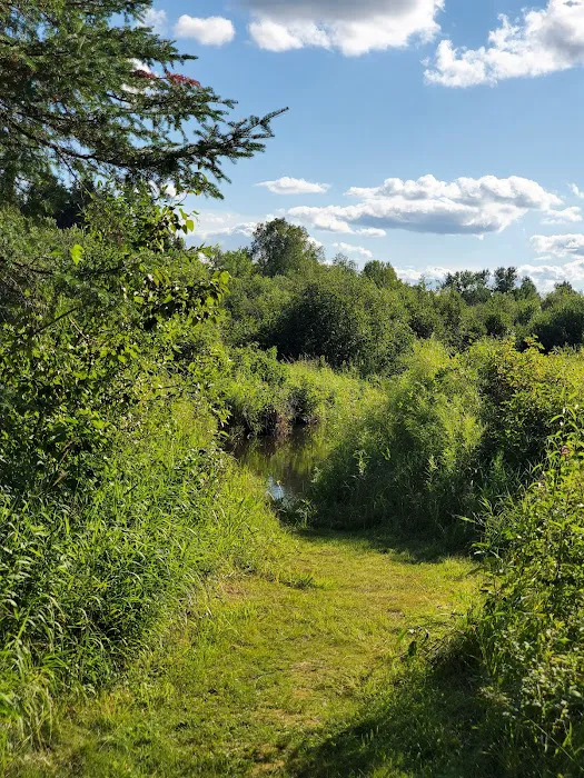 Coffee Pot landing campsite Picture 5