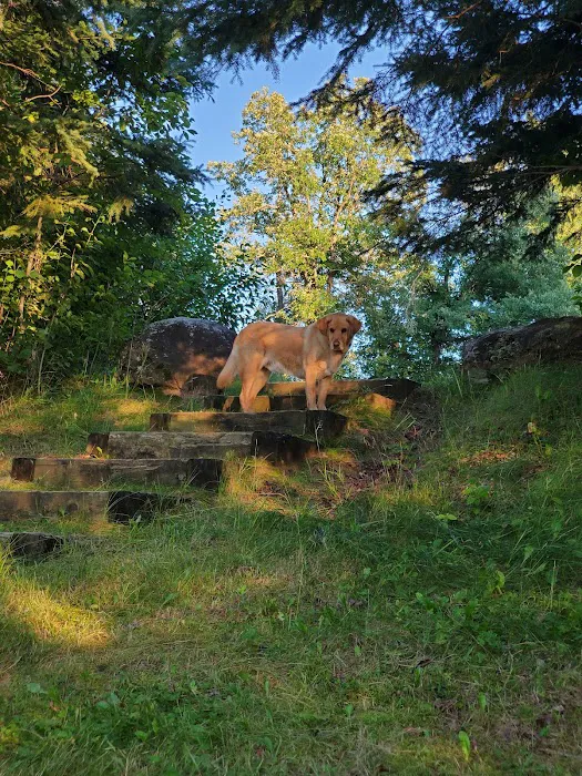 Coffee Pot landing campsite Picture 1